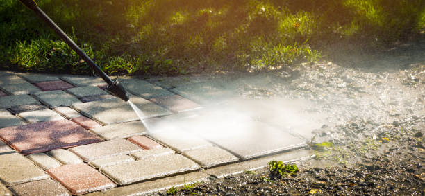 Best Gutter Cleaning  in Island City, OR